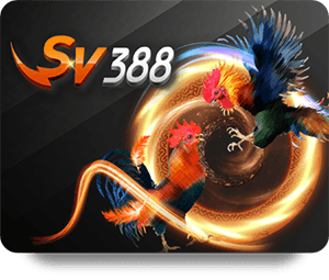 Lý Do Để Chọn BK8 Tỷ Lệ Vàng Cho Cược Trực Tuyến